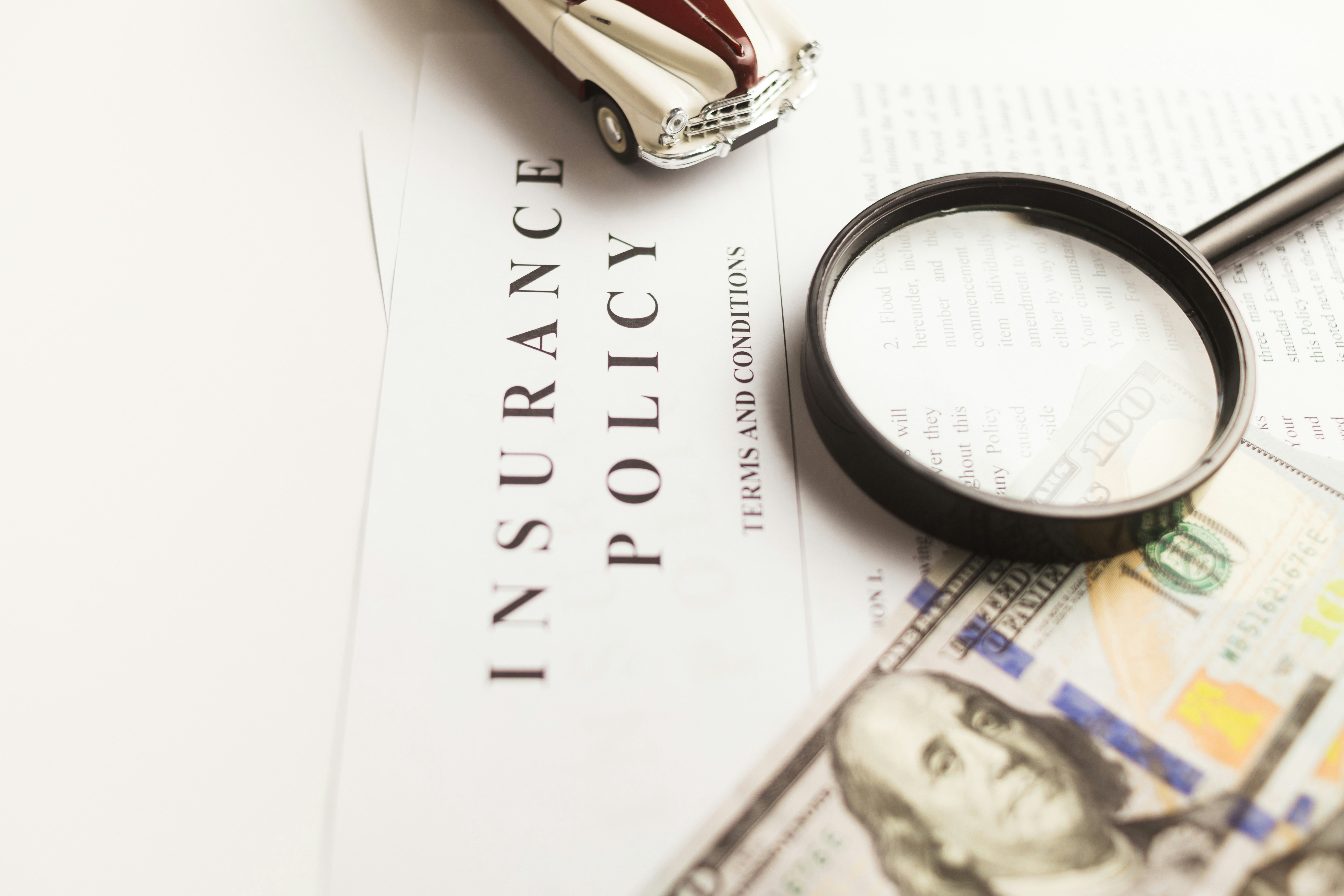 Car rental operator reviewing commercial fleet insurance options